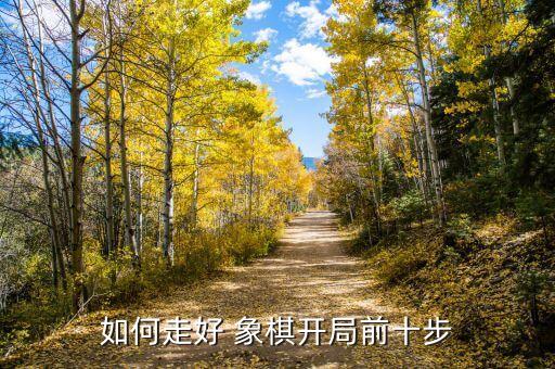 晨風象棋58炮怎么破解...